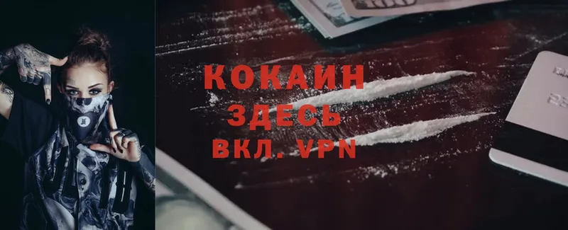 Cocaine 99% Великий Устюг