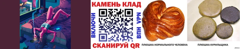 ГАШ индика сатива  купить наркотик  сайты даркнета наркотические препараты  Великий Устюг 