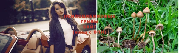 2c-b Пенза