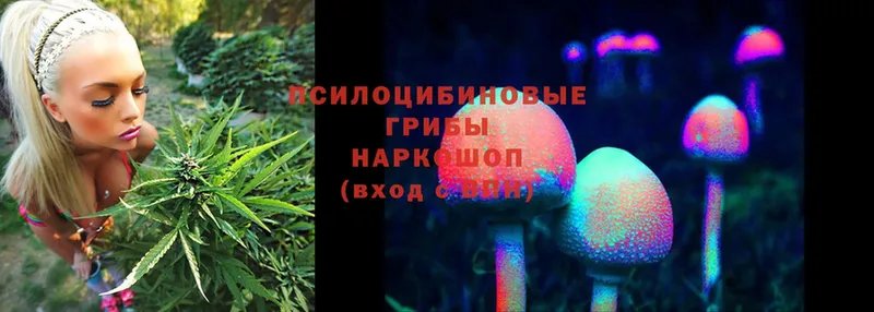 Галлюциногенные грибы Magic Shrooms  Великий Устюг 