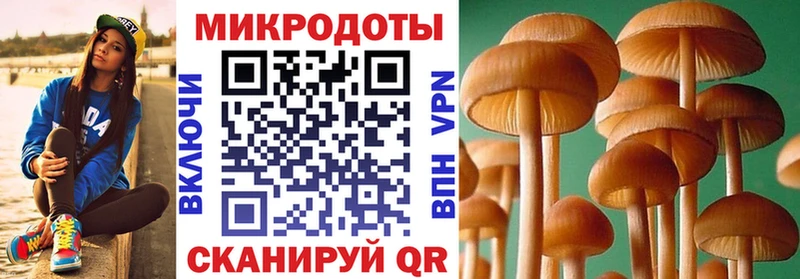 кракен маркетплейс  Великий Устюг  Псилоцибиновые грибы Magic Shrooms 