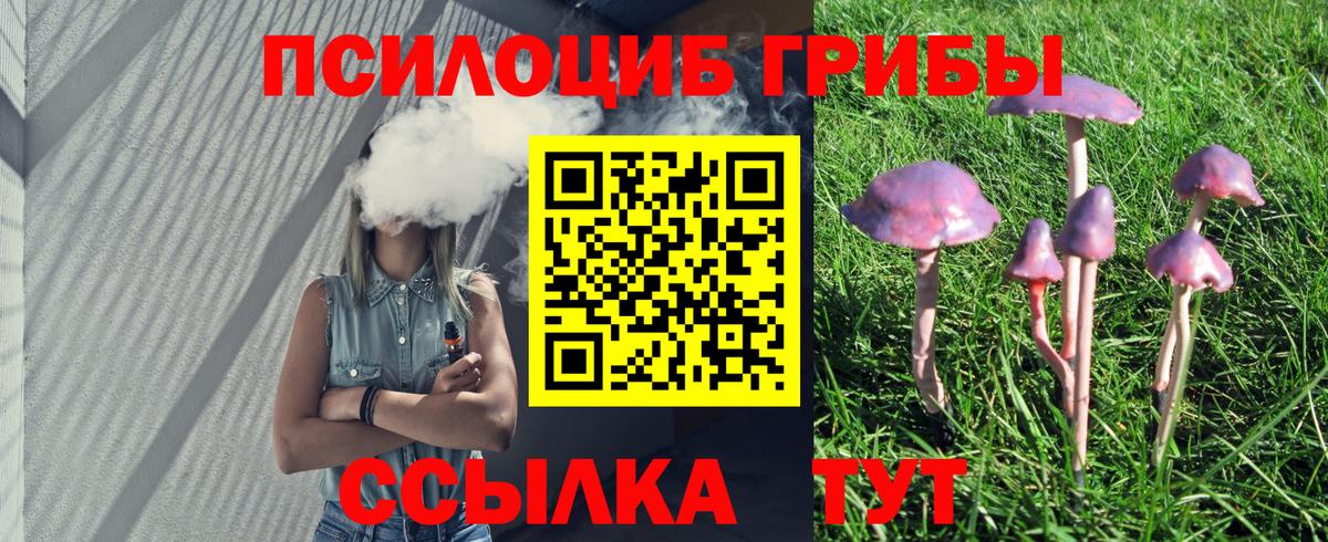 Псилоцибиновые грибы ЛСД Великий Устюг