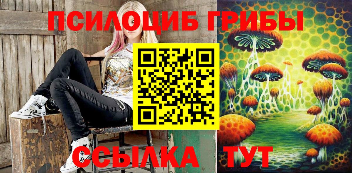 Великий Устюг  Псилоцибиновые грибы Cubensis  Вход с VPN 