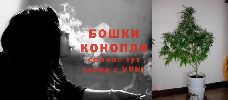 Каннабис SATIVA & INDICA  Великий Устюг 