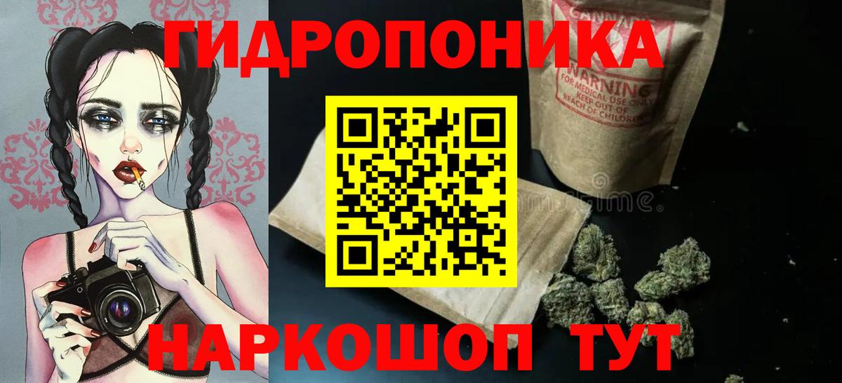 Бошки марихуана Amnesia Великий Устюг